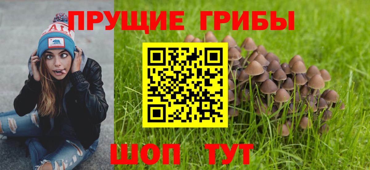 Галлюциногенные грибы прущие грибы  Псилоцибиновые грибы Cubensis  Черняховск  Вход с VPN 